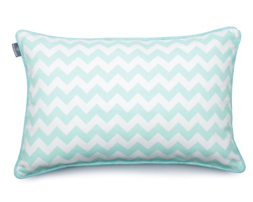 Zig Zag Mint (7).JPG