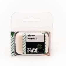 Scented Wax Bloom in Grace