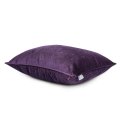 dark-violet-1.jpg