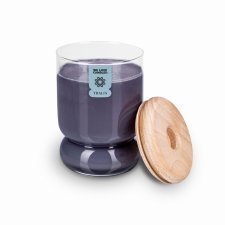 Scented candle Juicy Apple L