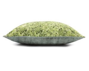 02 Grass (3).JPG