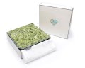 02 Grass (4).JPG