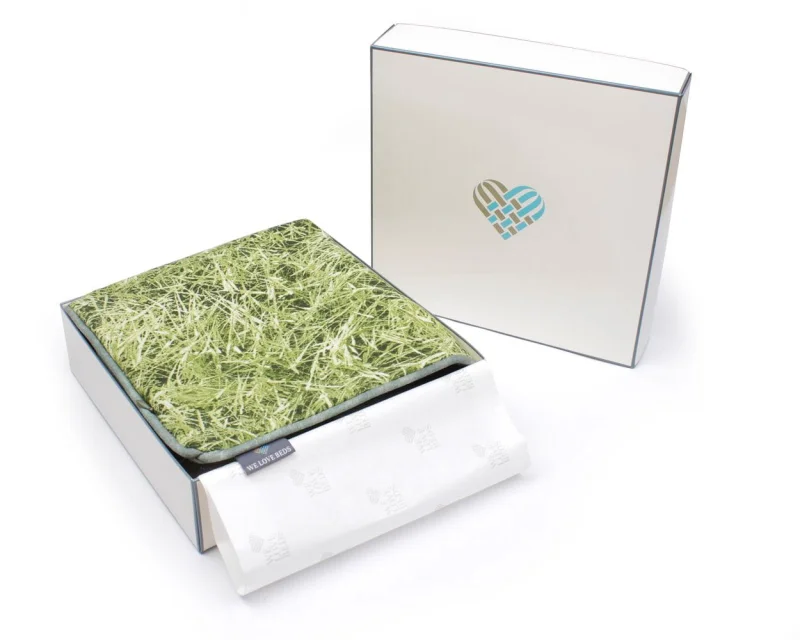 02 Grass (4).JPG