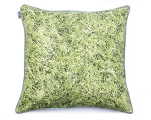 02 Grass (1).JPG