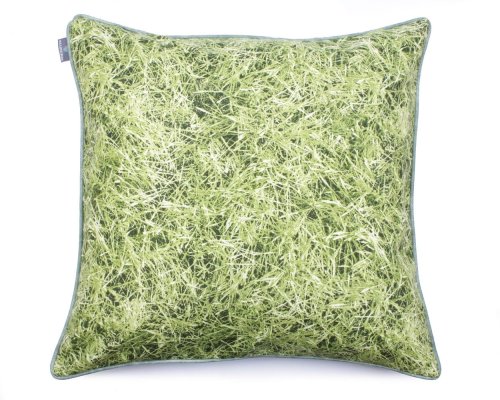 02 Grass (1).JPG