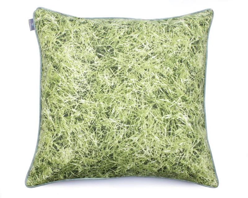 02 Grass (1).JPG