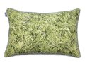 02 Grass (6).JPG