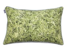Decorative pillow  Grass 40x60 cm
