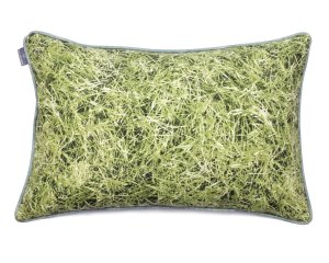 02 Grass (6).JPG