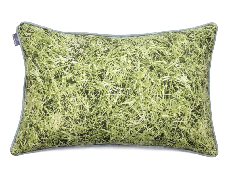 02 Grass (6).JPG